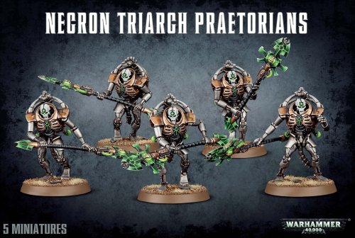 Necrons Lychguard & Triarch Praetorians - Fantastisk tilbud!