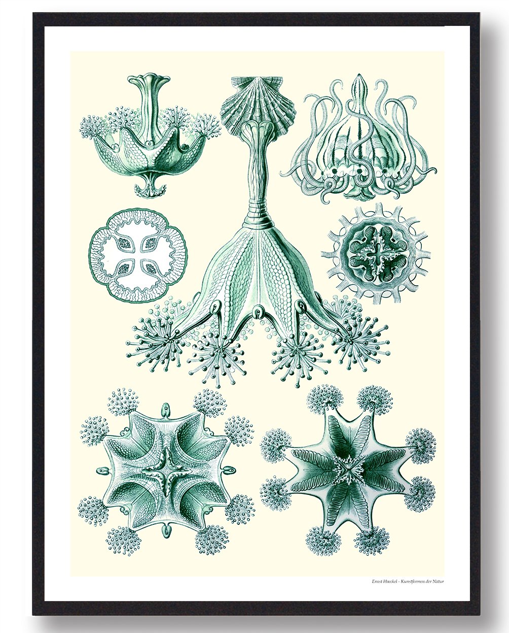 Grøn Natur Plakat - Smuk Dekoration til Dit Hjem