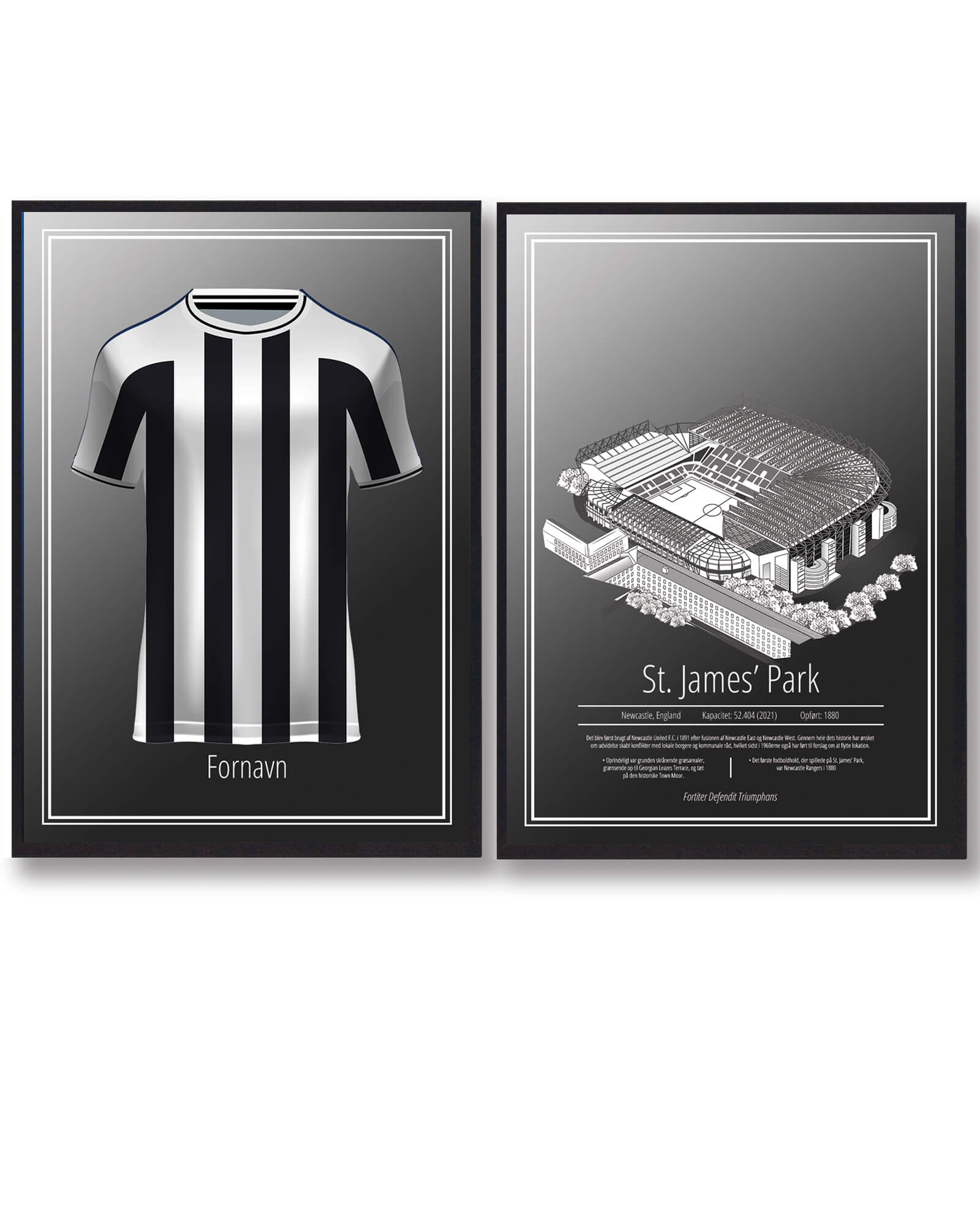 Newcastle Trøje og Stadion Plakatsæt – Fantastisk Tilbud!