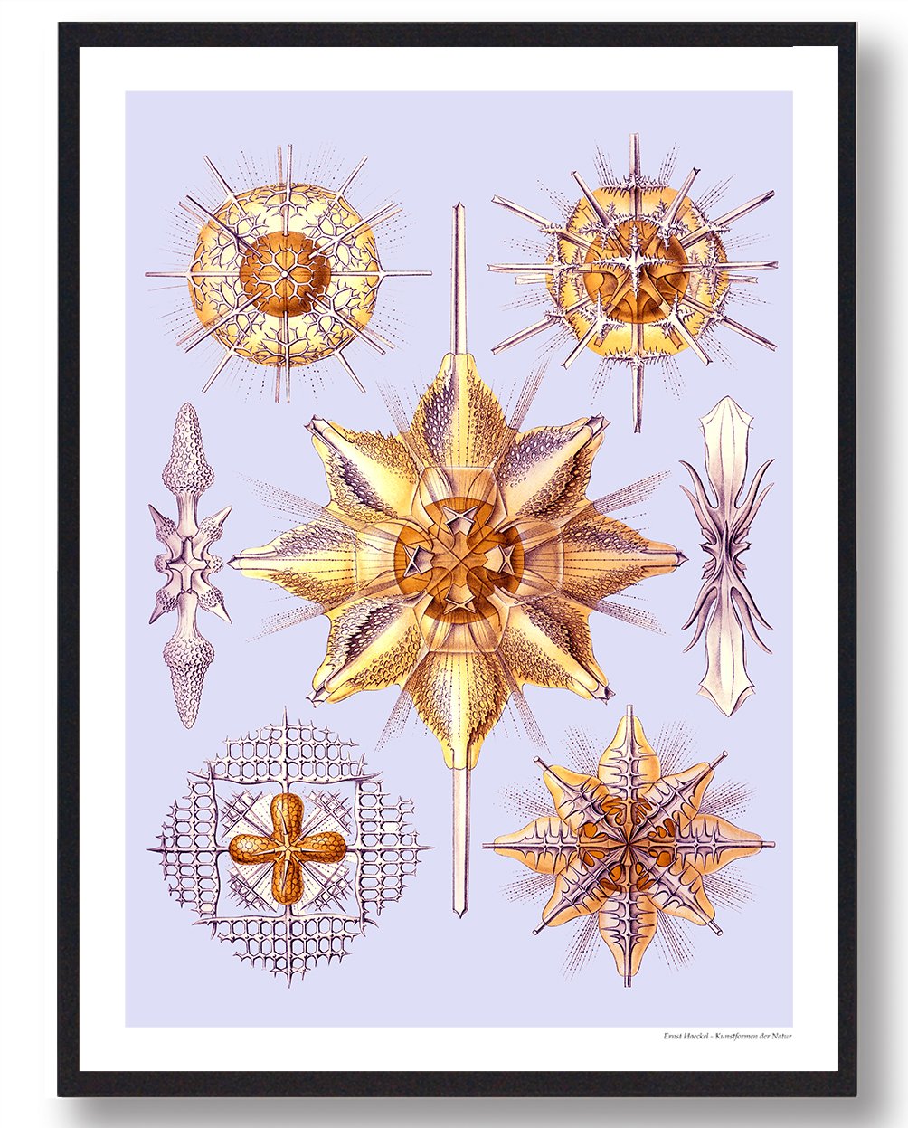 Ocean Plakat - Smuk Naturplakat til Dit Hjem