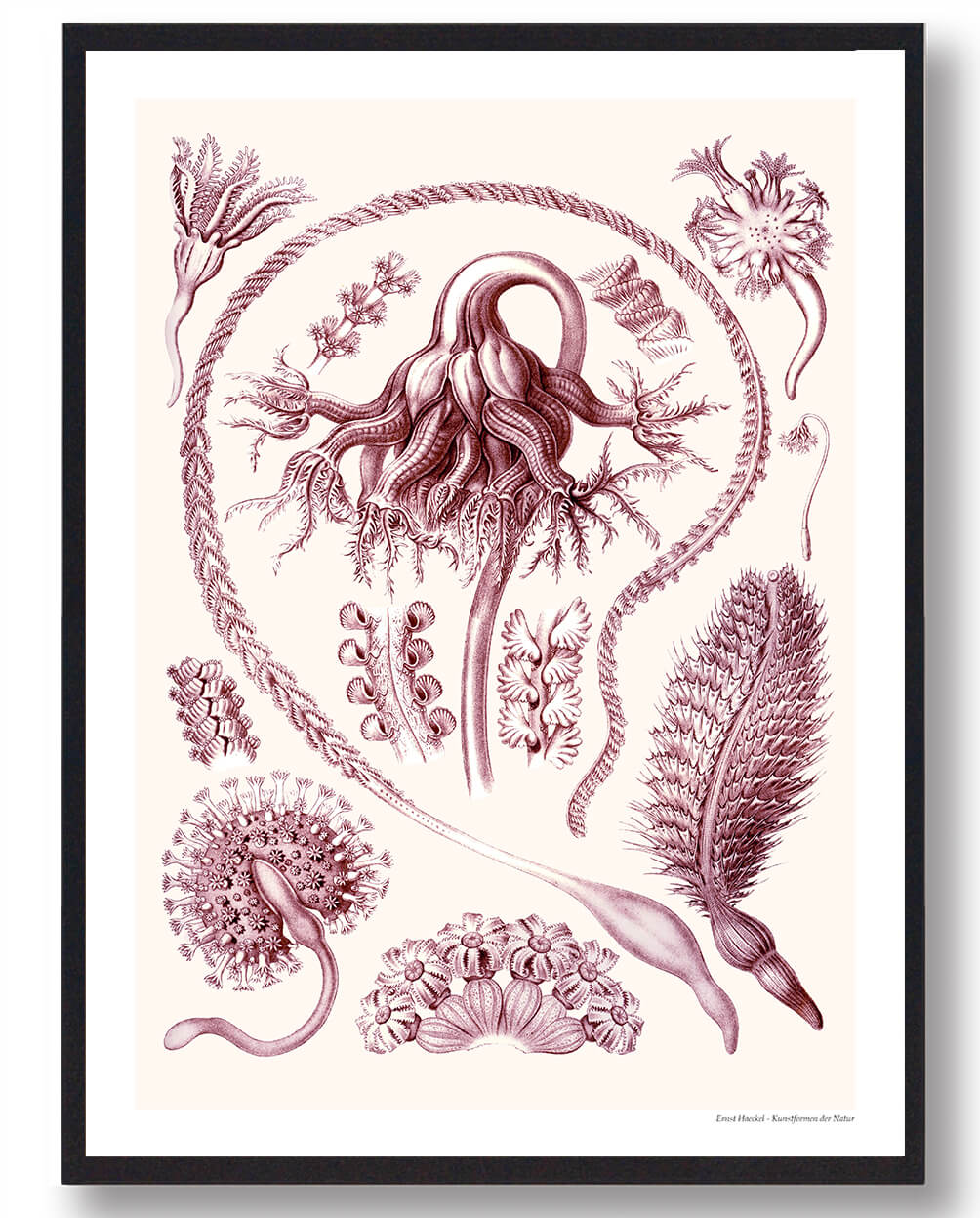 Ocean Plakat – Smuk naturplakat til dit hjem