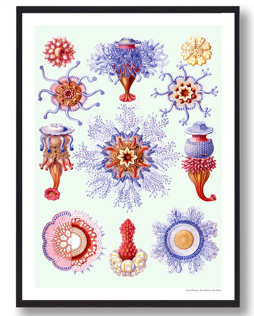 Ocean Plakat - Smuk Naturplakat til Dit Hjem