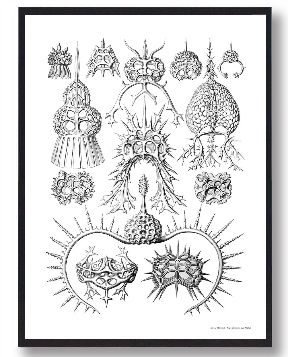 Ocean Plakat - Smuk Havplakat til Dit Hjem