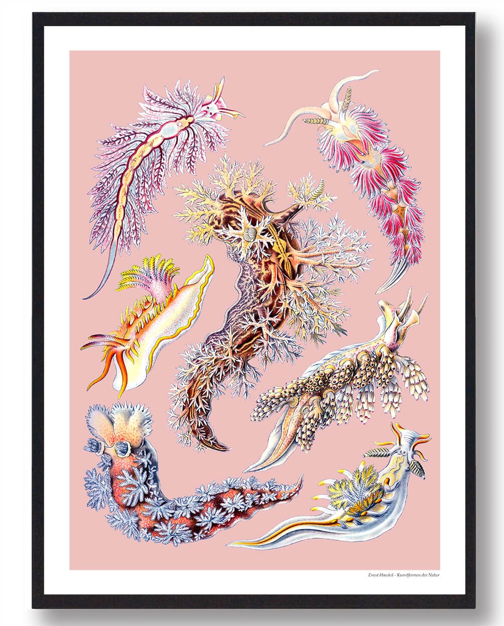 Ocean Plakat – Smuk Naturplakat til Dit Hjem