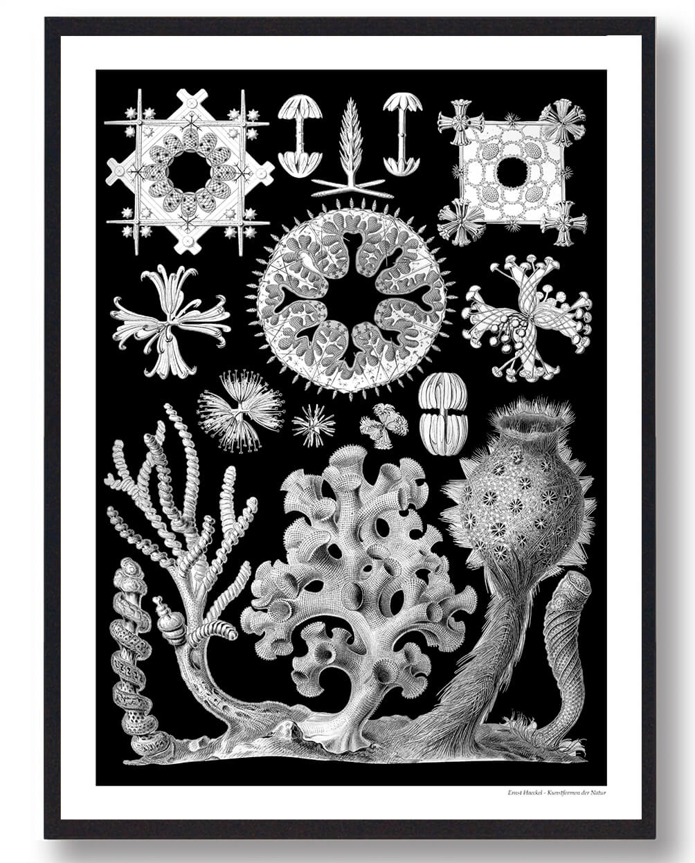 Ocean Plakat - Smuk Naturplakat til Dit Hjem