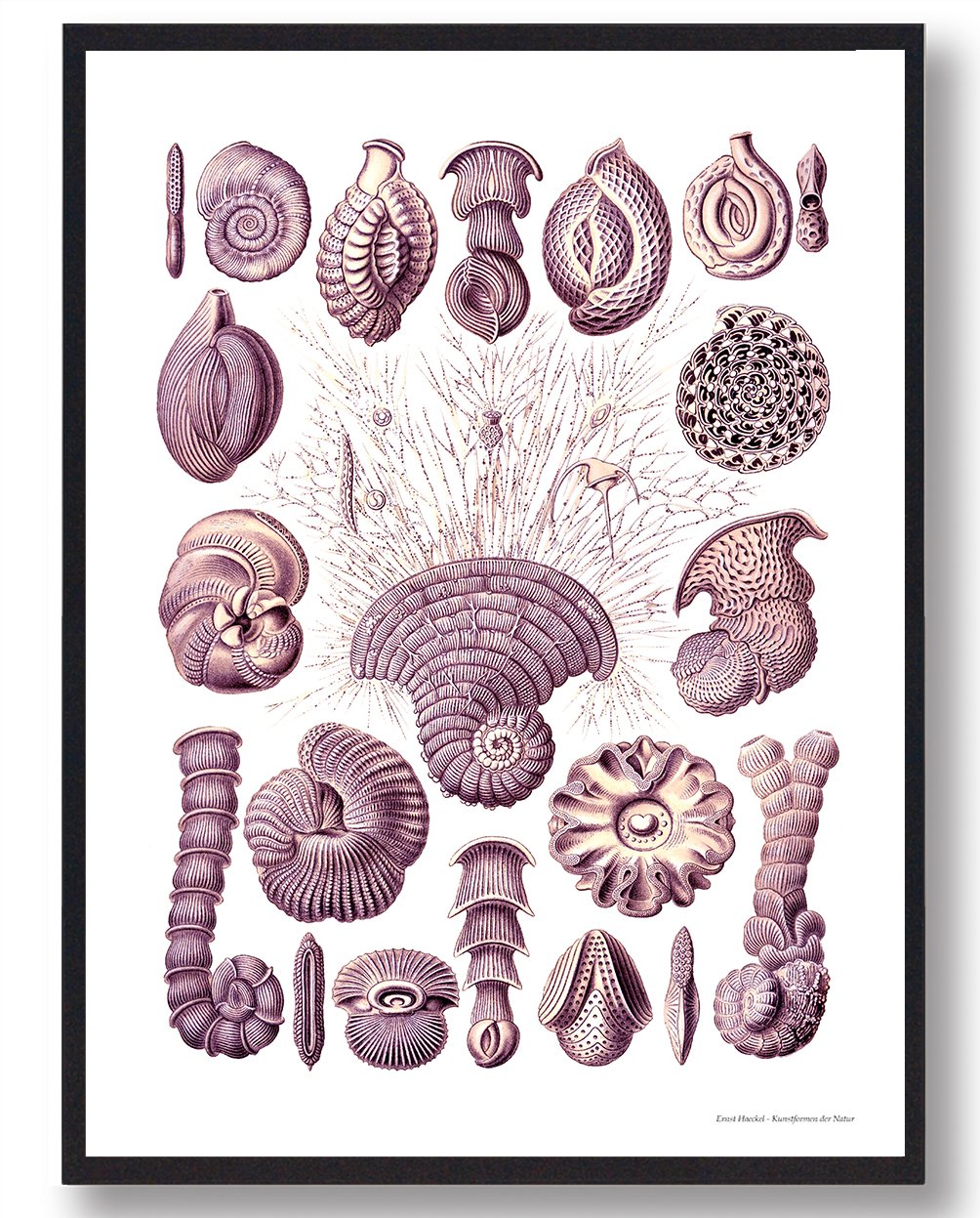 Ocean Plakat – Smuk Naturplakat til Dit Hjem