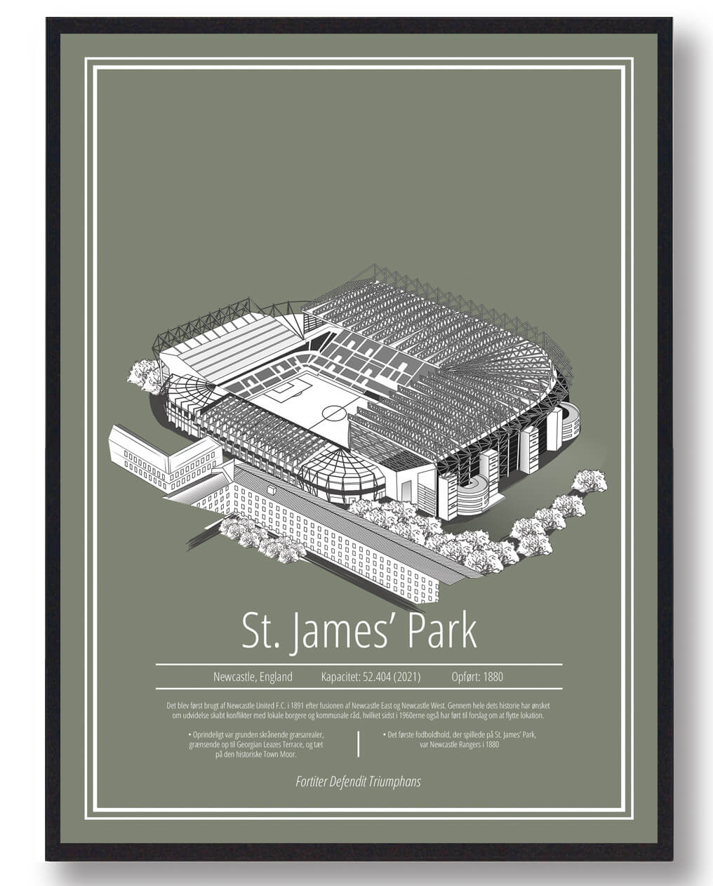 St. James Park Newcastle Stadion Plakat til Dit Hjem