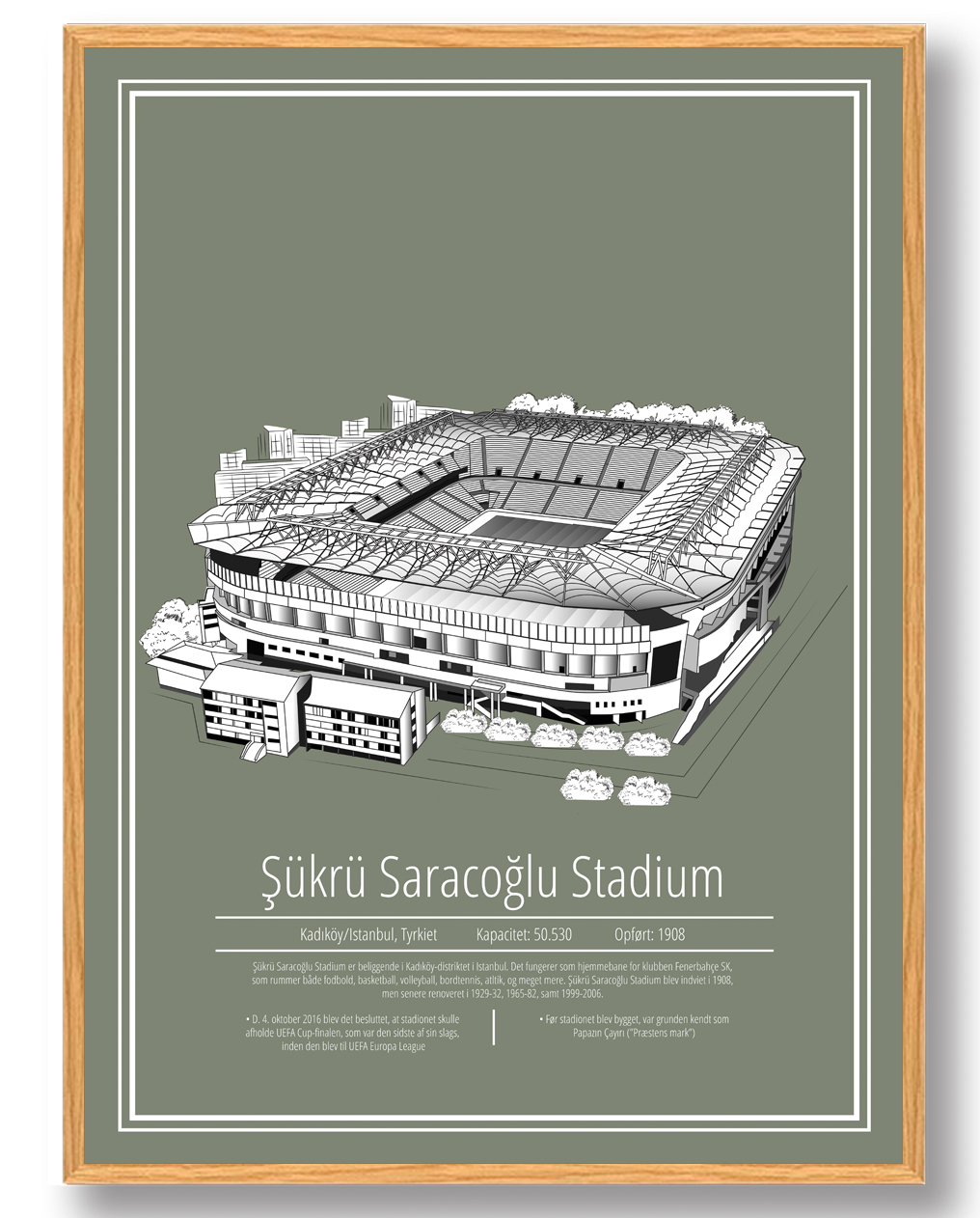 Fenerbahçe Stadion Plakat - Sukru Saracoglu Stadion