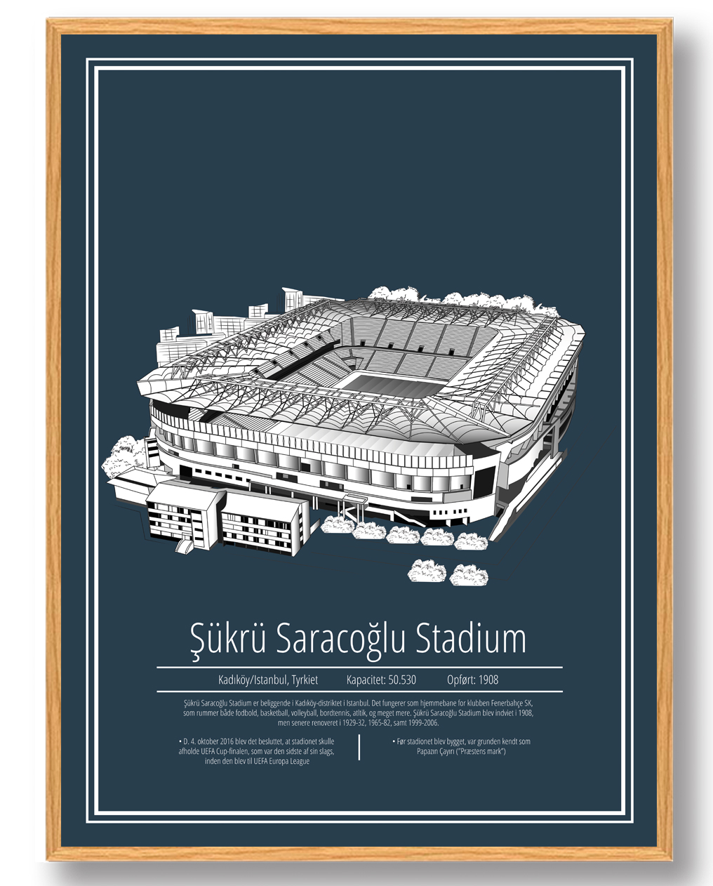 Sukru Saracoglu Stadion Fenerbahçe Plakat - Fodboldkunst