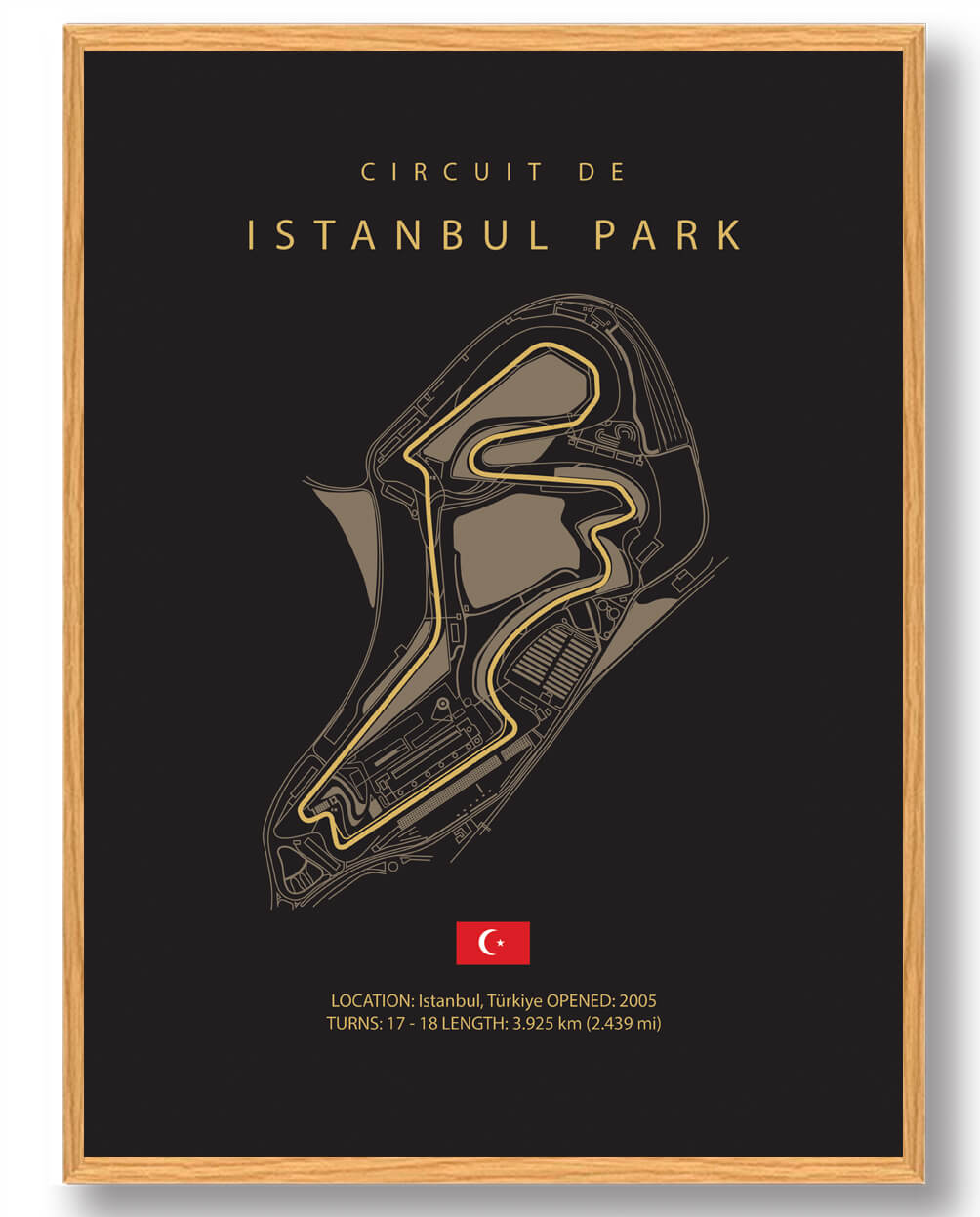 Istanbul Park Formel 1 Plakat - Hyld racernes skønhed!