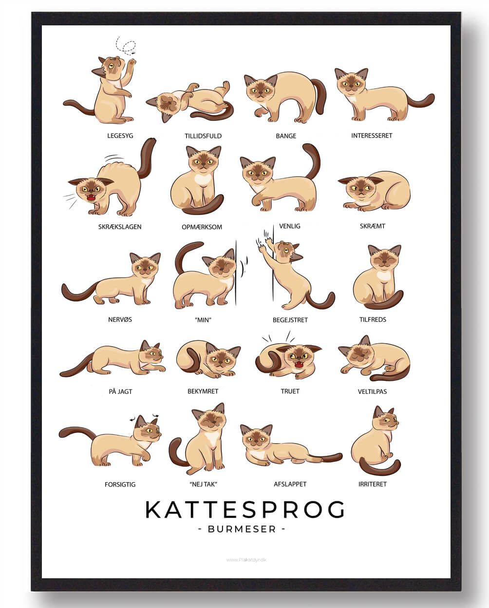 Burmeser Katte Plakat – Elegance til Dit Hjem!