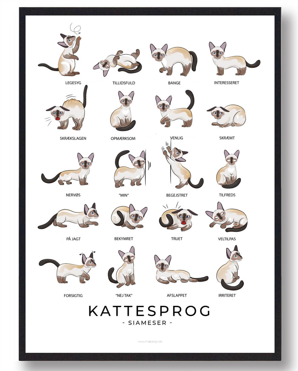 Siameser Katteplakat - Forstå Din Kats Sprog