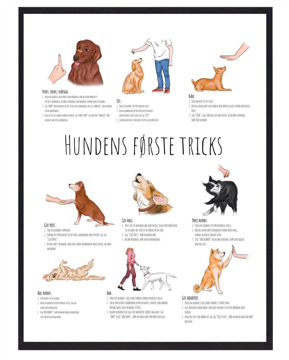 Hundetræningsplakat med sjove lege og tricks