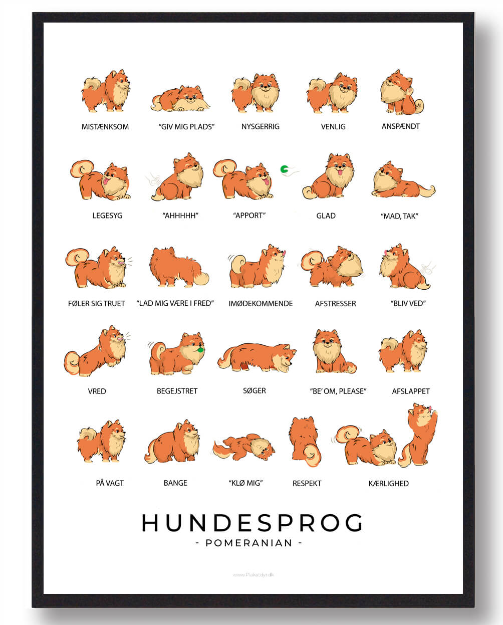 Pomeranian Hundesprog Plakat - Få den nu!