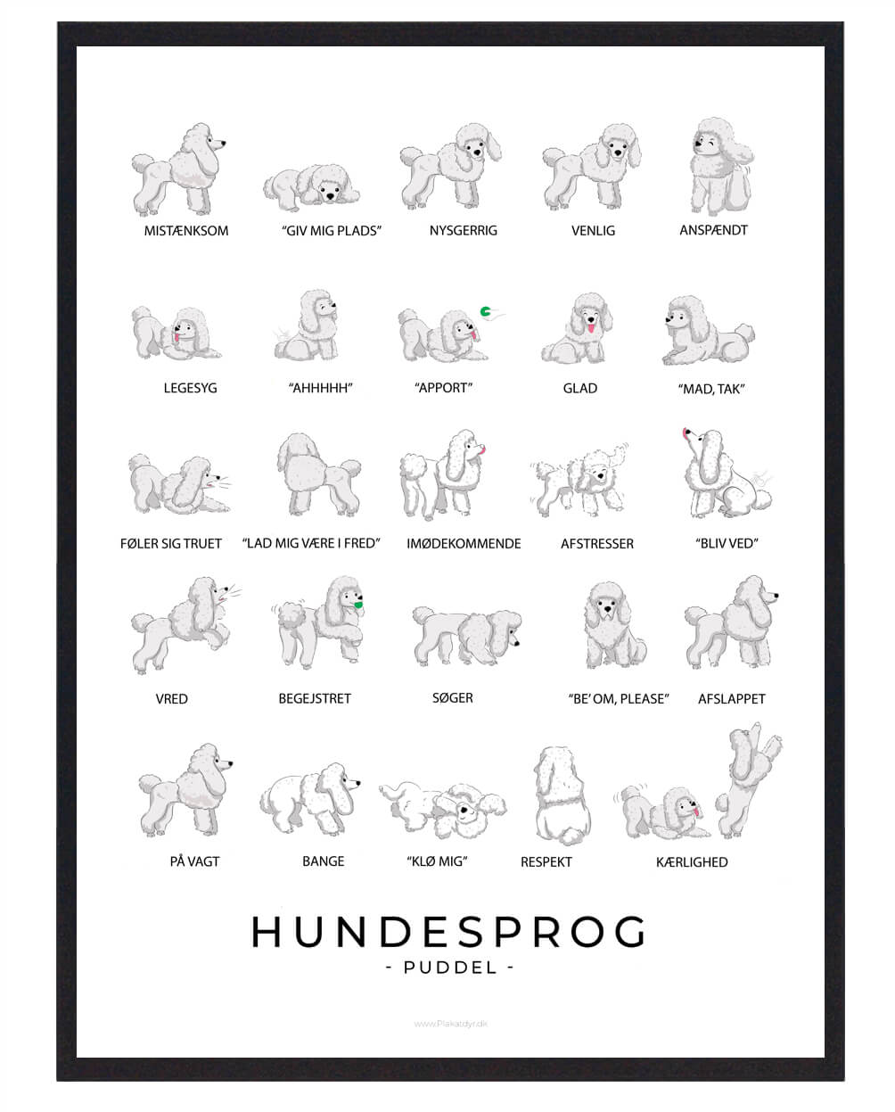 Puddel Plakat - Forstå Hundesprog med Elegance