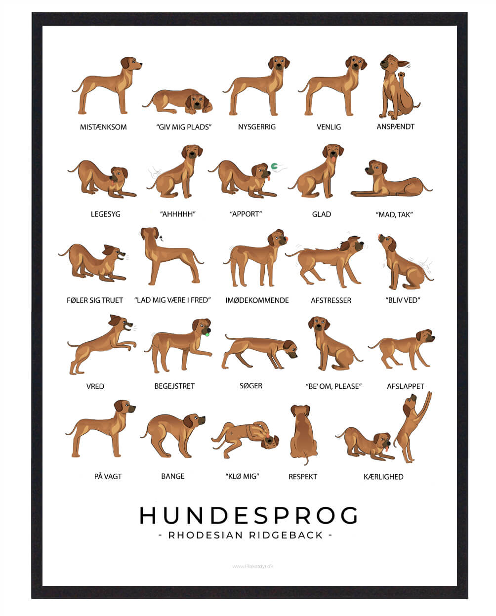Rhodesian Ridgeback Hundesprog Plakat - Forstå din hund!