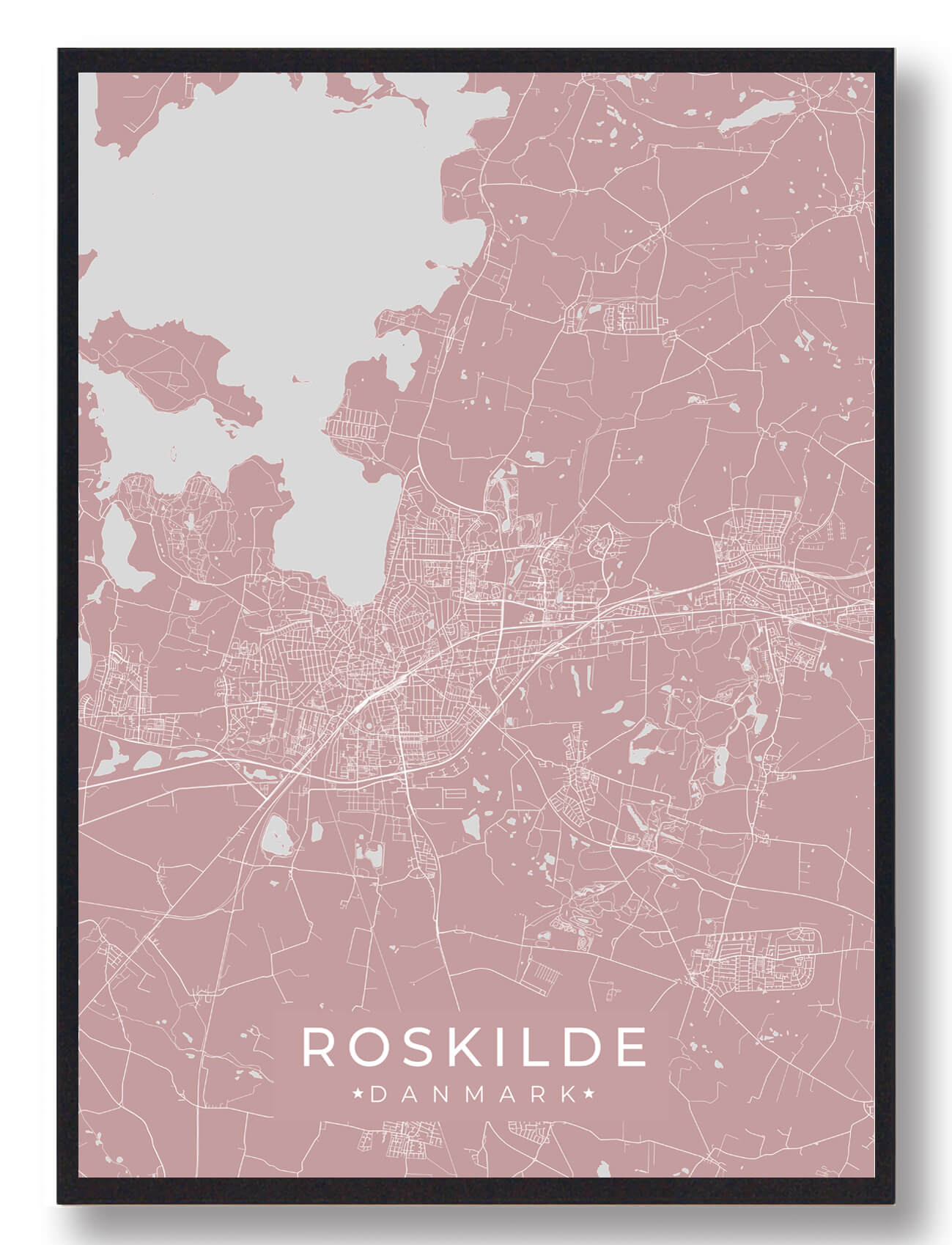 Roskilde Plakat - Fejr Danmarks Historie med Stil