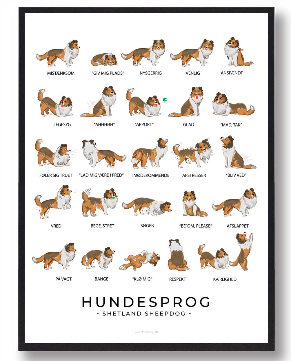 Shetland Sheepdog Hundesprog Plakat - Få den nu!