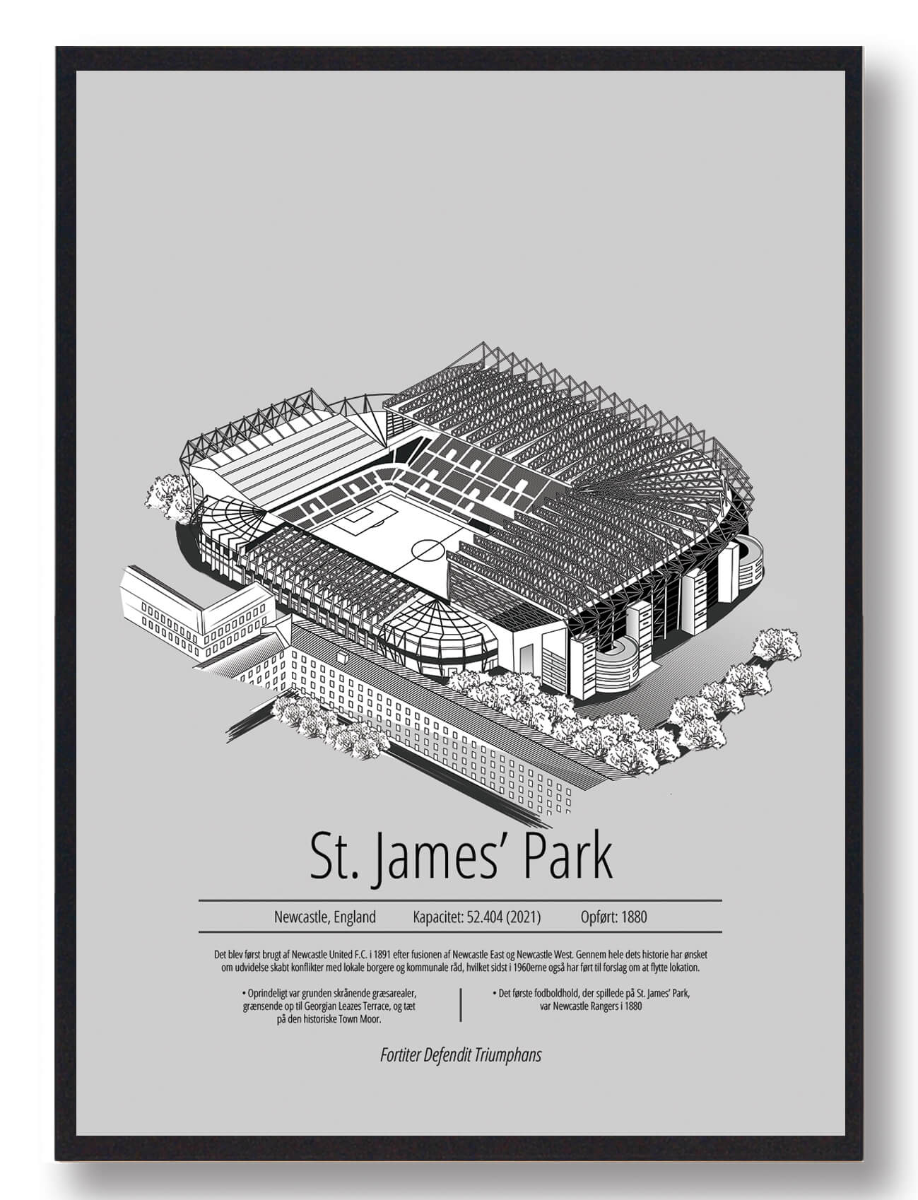 St James Park Newcastle Plakat - Grå Dekoration