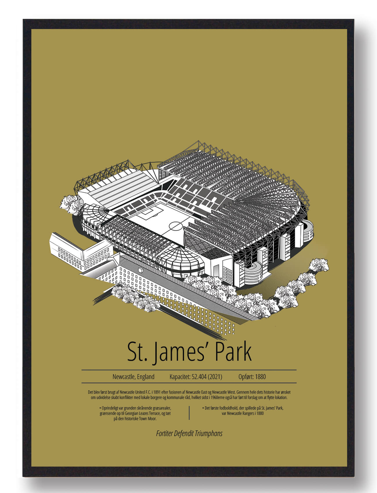 St. James Park Newcastle Plakat - Forny Dit Hjem