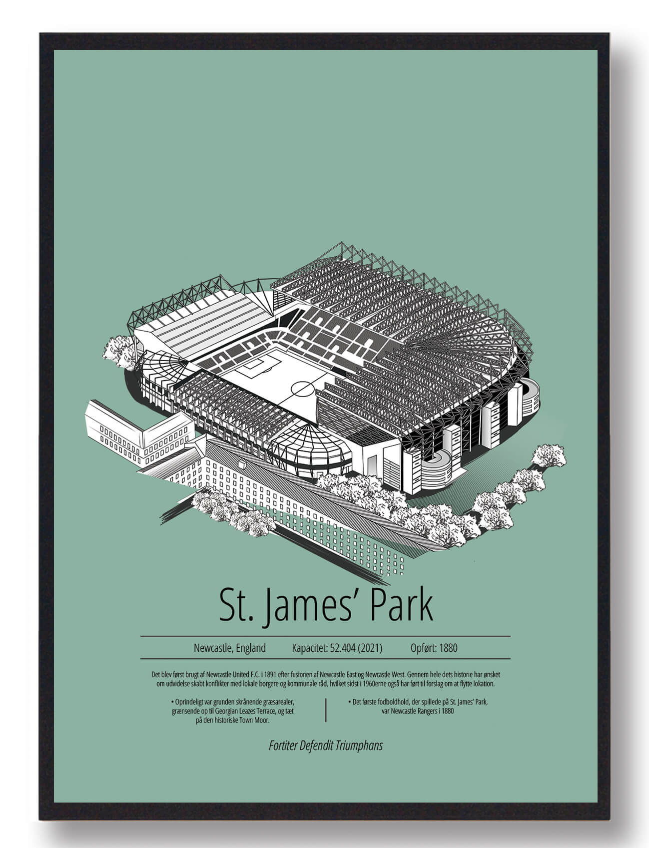 St James Park Newcastle Plakat i Mintgrøn