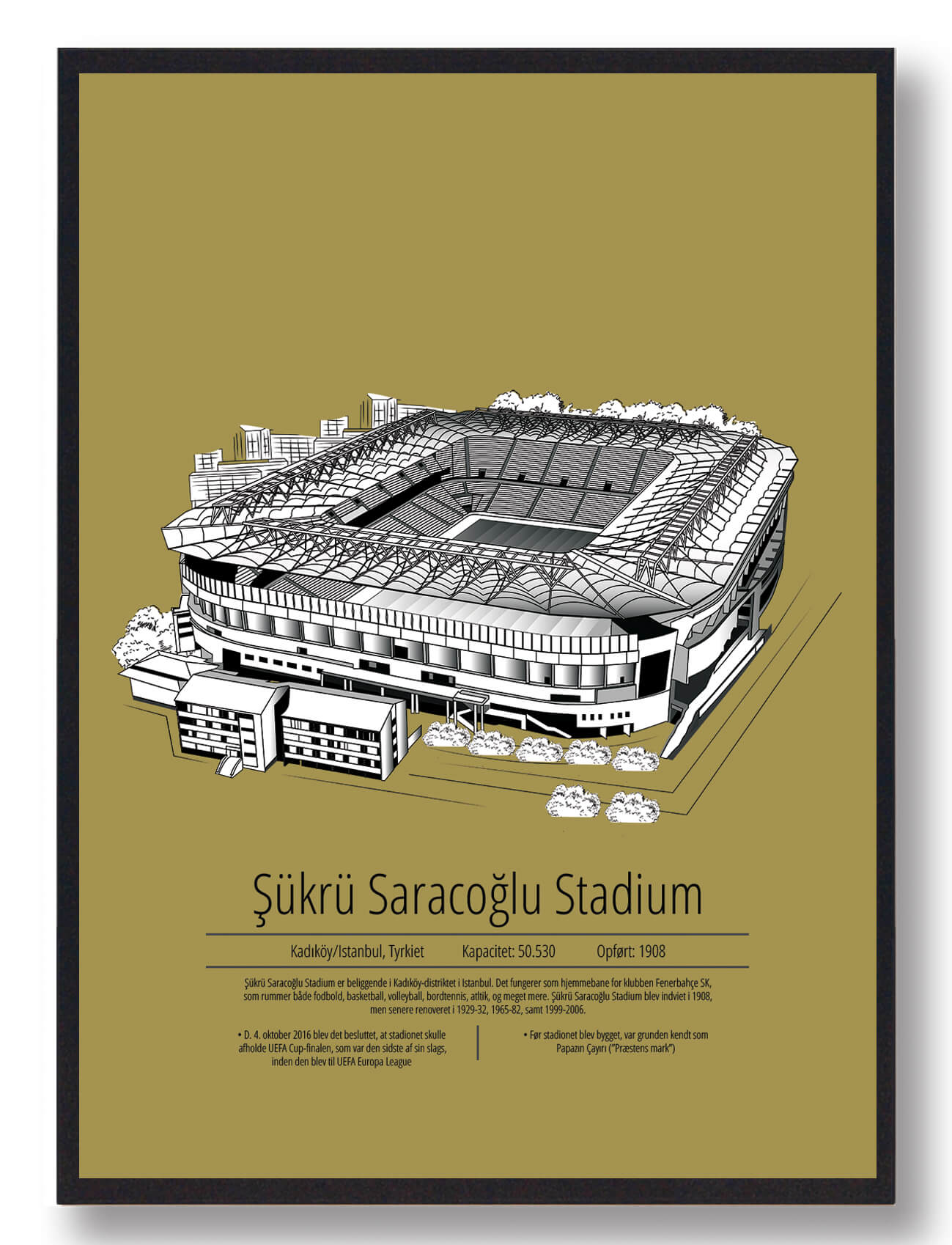 Fenerbahçe Stadion Plakat - Sukru Saracoglu i Istanbul