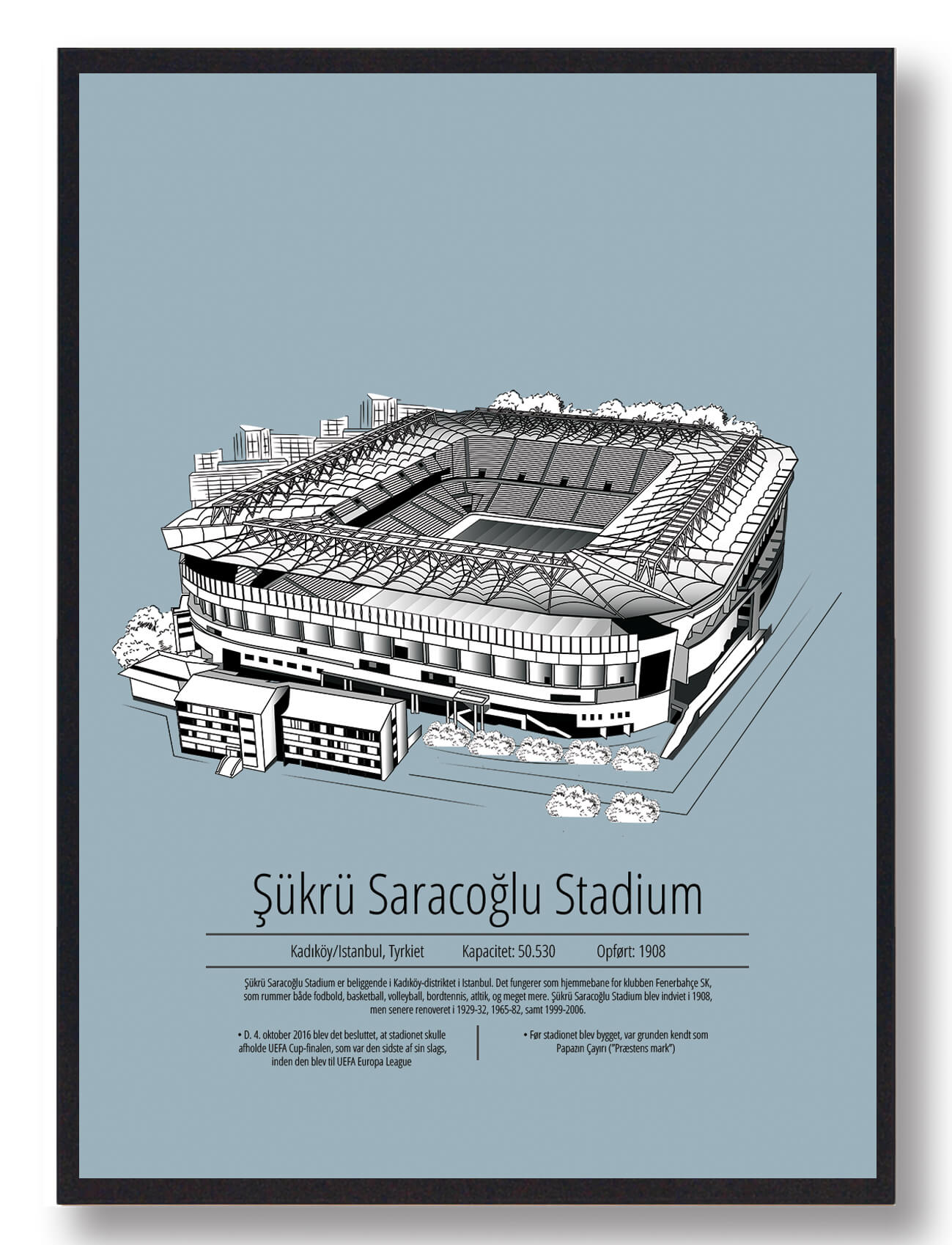 Fenerbahçe Plakat - Sukru Saracoglu Stadion i Lyseblå