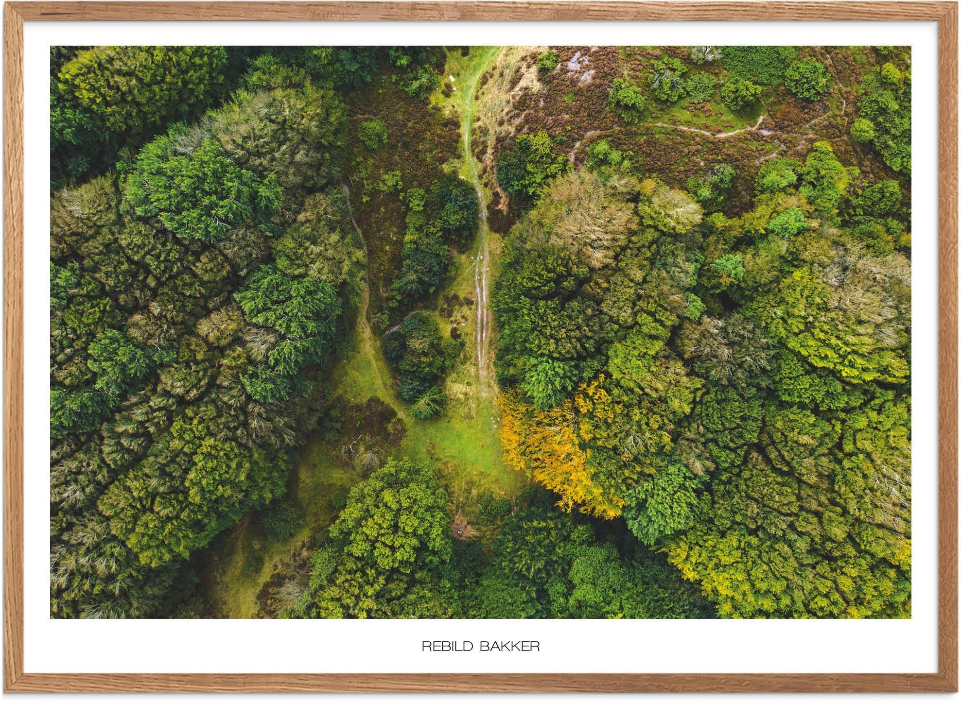 Plakat Rebild Bakker Naturplakat Plakater Nordjylland Plakat Plakatsnedkeren Drone-plakater