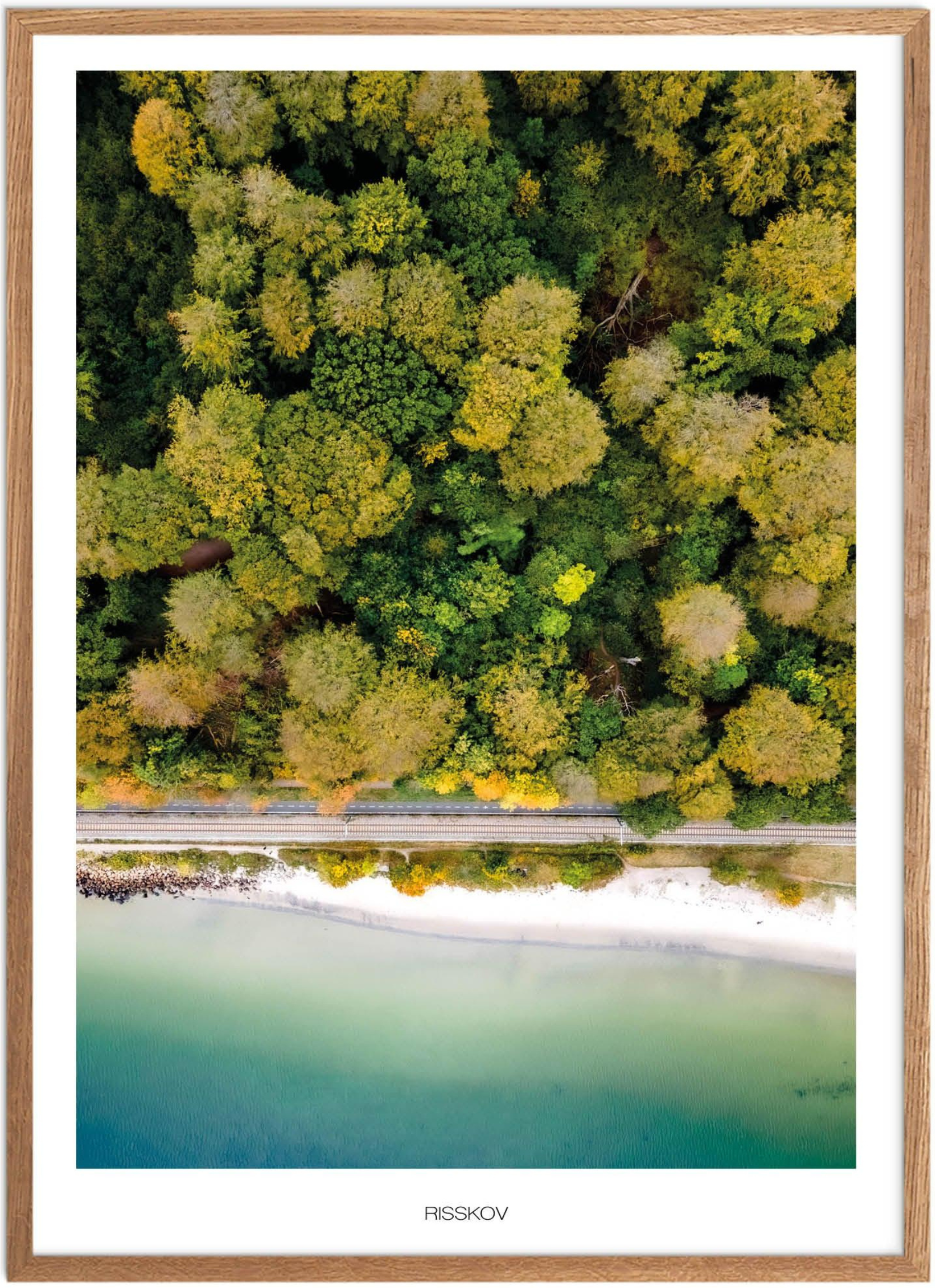 Plakat Risskov Naturplakat Plakater Aarhus Plakat Plakatsnedkeren Bestsellere