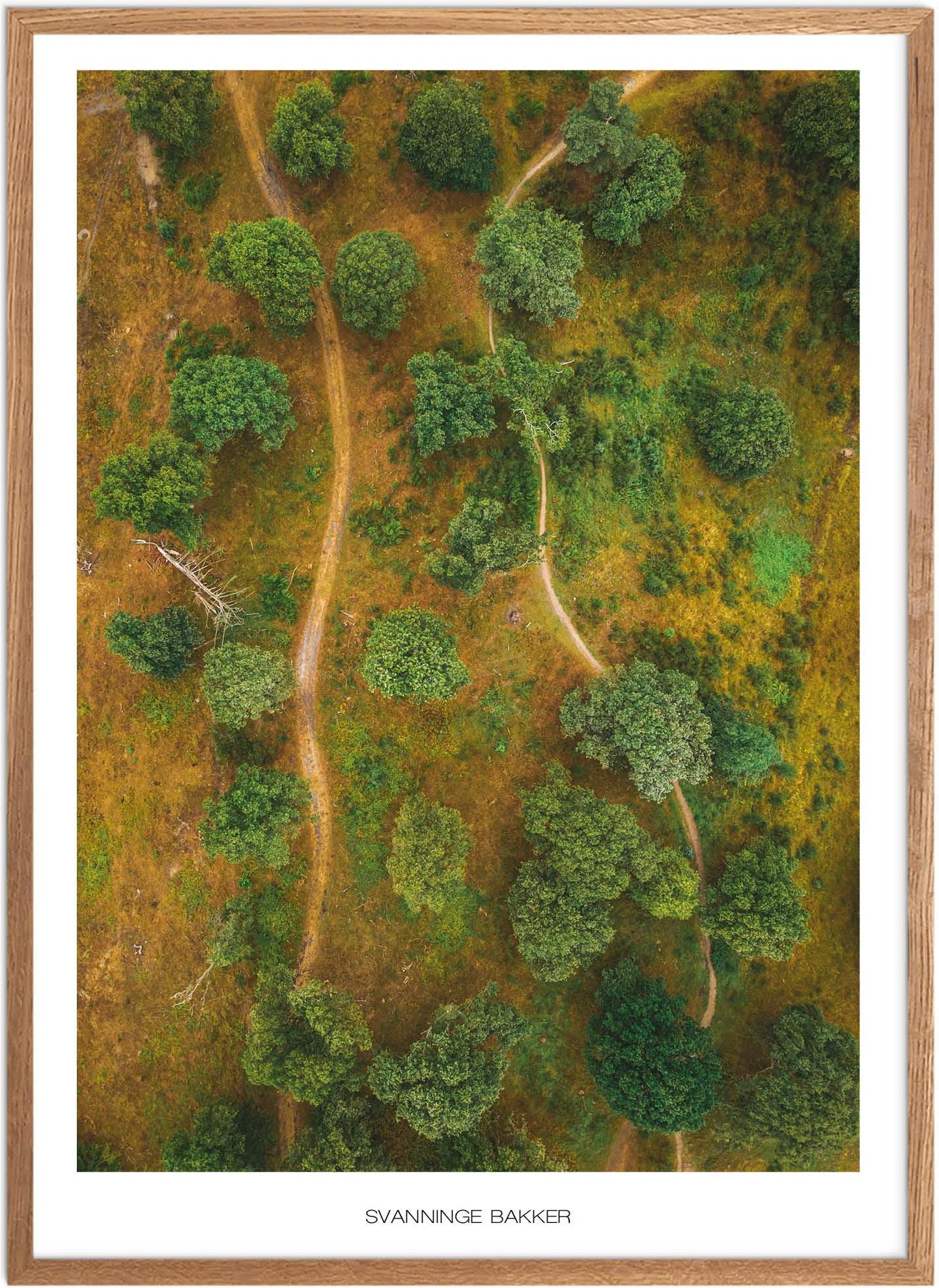 Plakat Svanninge Bakker Naturplakat Plakater Fyn Plakat Plakatsnedkeren Drone-plakater