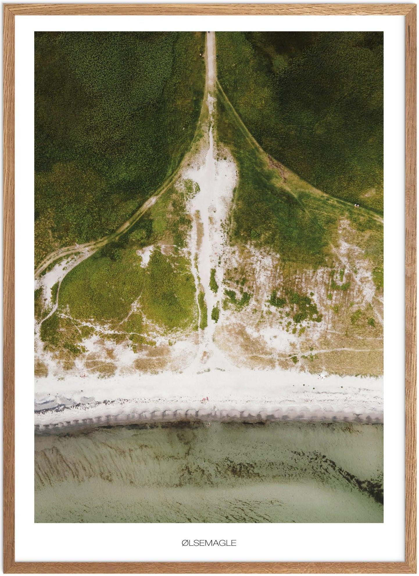 Plakat ølsemagle Revle Naturplakat Recommended Products Seguno Plakat Plakatsnedkeren Drone-plakater
