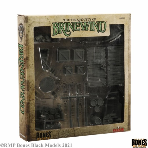 Reaper Bones Black: Piratbyen Brinewind Miniature Sæt