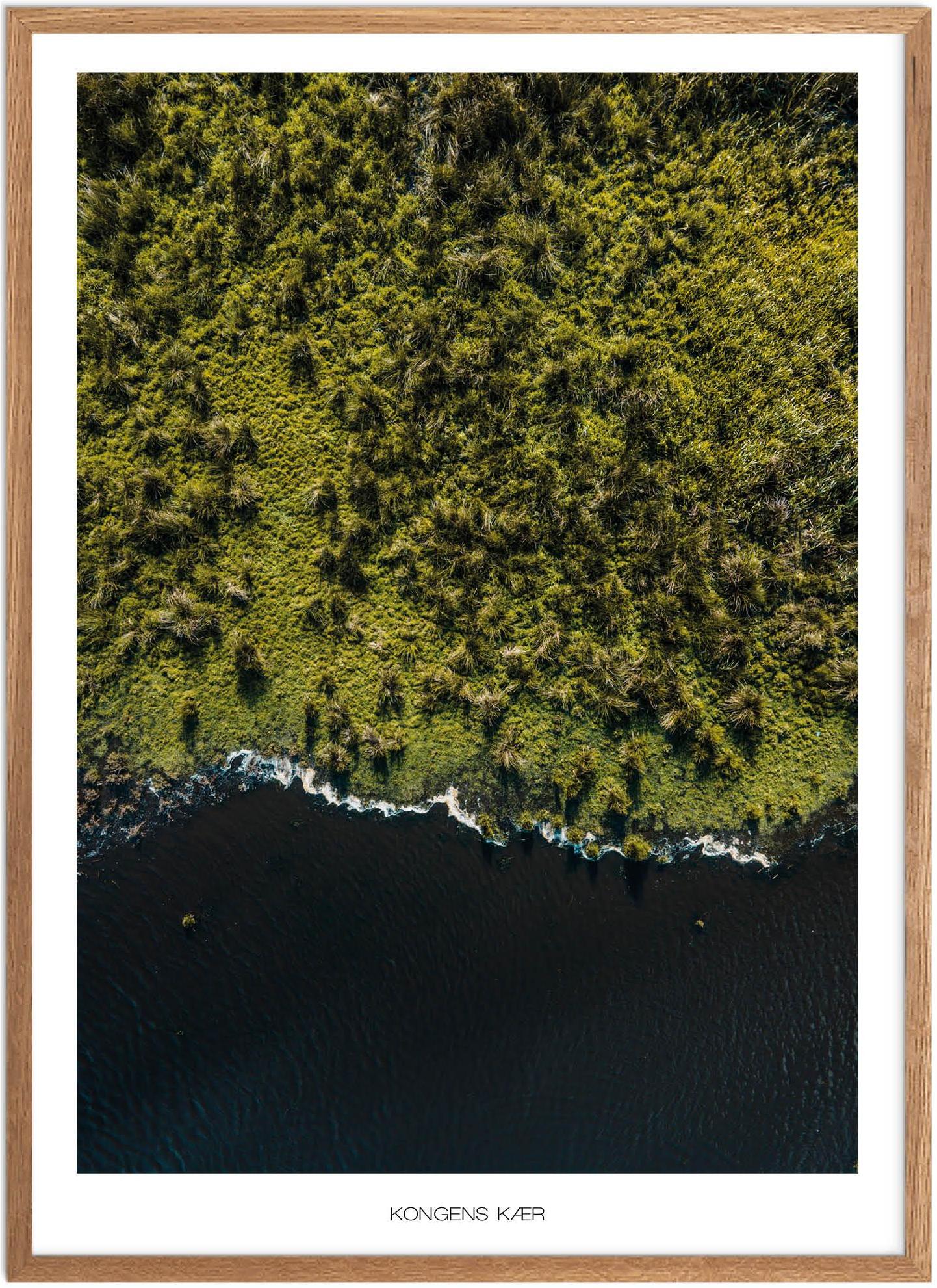 Plakat Kongens Kær Naturplakat Plakater Sydjylland Plakat Plakatsnedkeren Bestsellere
