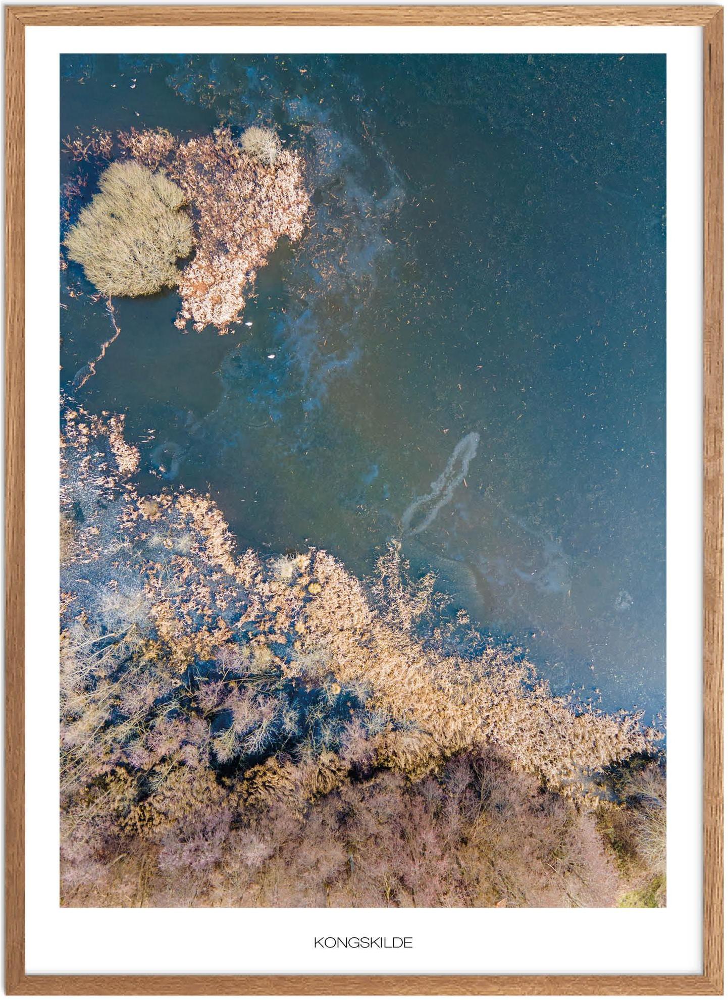 Plakat Kongskilde Naturplakat Plakater Vestsjælland Plakat Plakatsnedkeren Plakater østsjælland