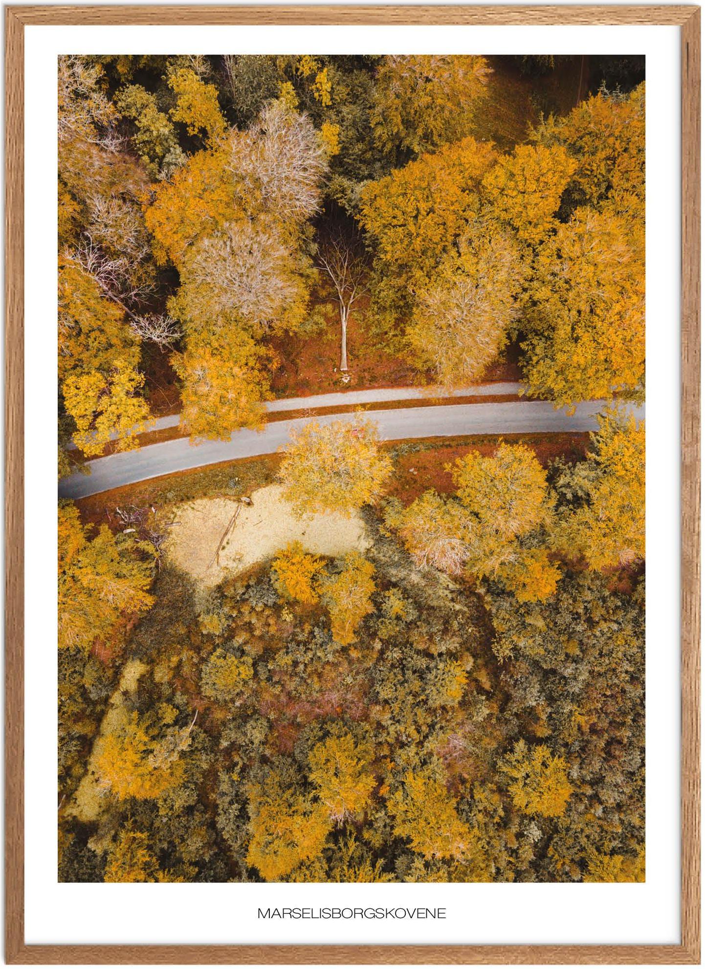 Plakat Marselisborgskovene Naturplakat Plakater Aarhus Plakat Plakatsnedkeren Bestsellere