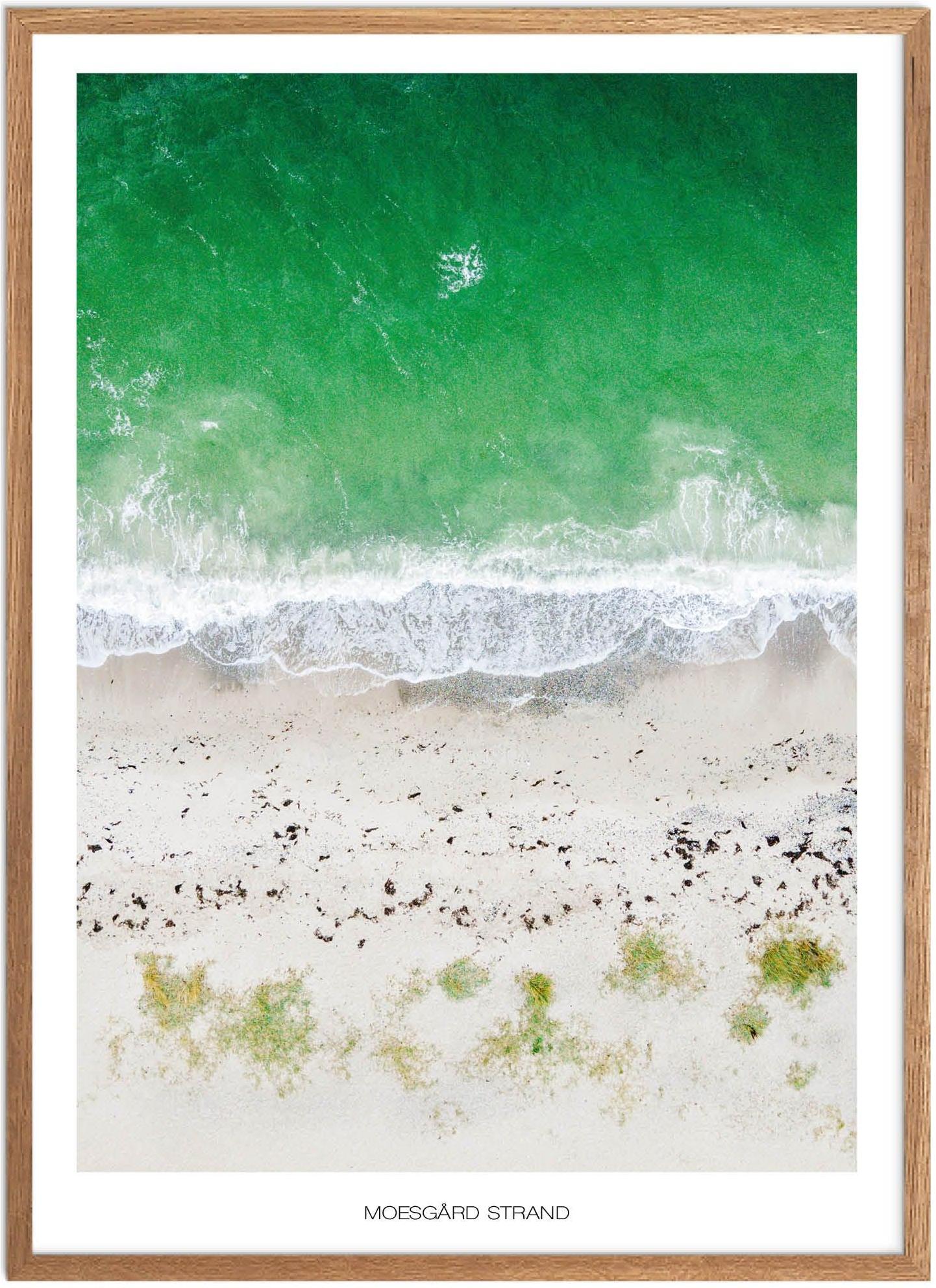 Plakat Moesgård Strand Naturplakat Plakater Aarhus Plakat Plakatsnedkeren Bestsellere