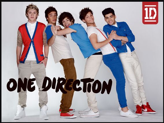 Super Udsalg - One Direction Skriveunderlag 49x34 cm