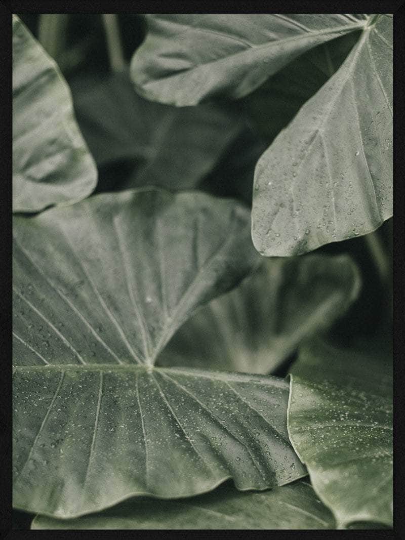 Grønne Blade Plakat - Smuk Botanisk Vægkunst