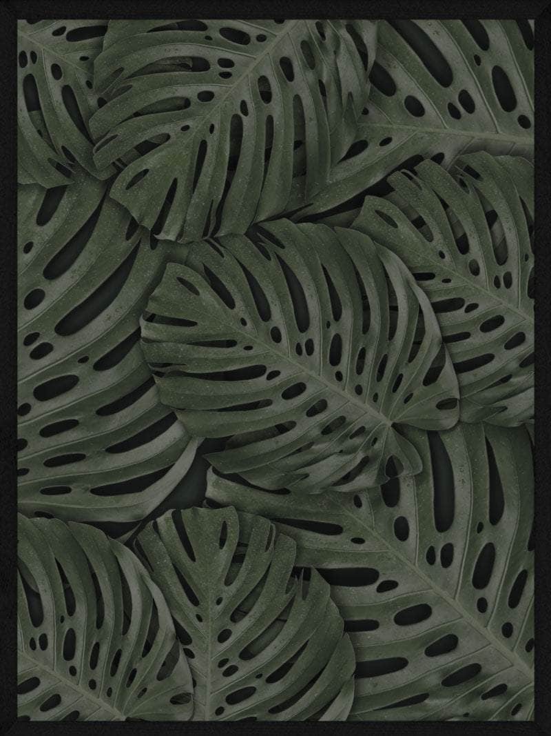 Monstera Blade Plakat - Smuk Botanisk Kunst til Dit Hjem