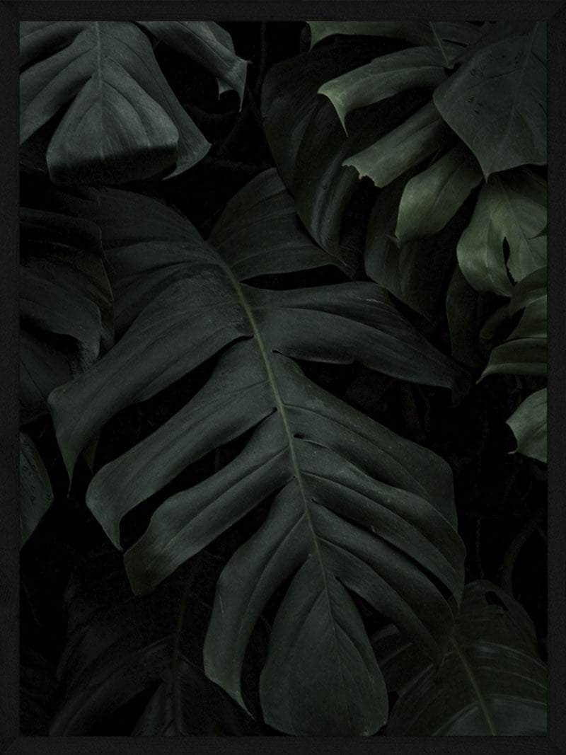 Monstera Plakat – Smuk Botanisk Vægkunst til Dit Hjem