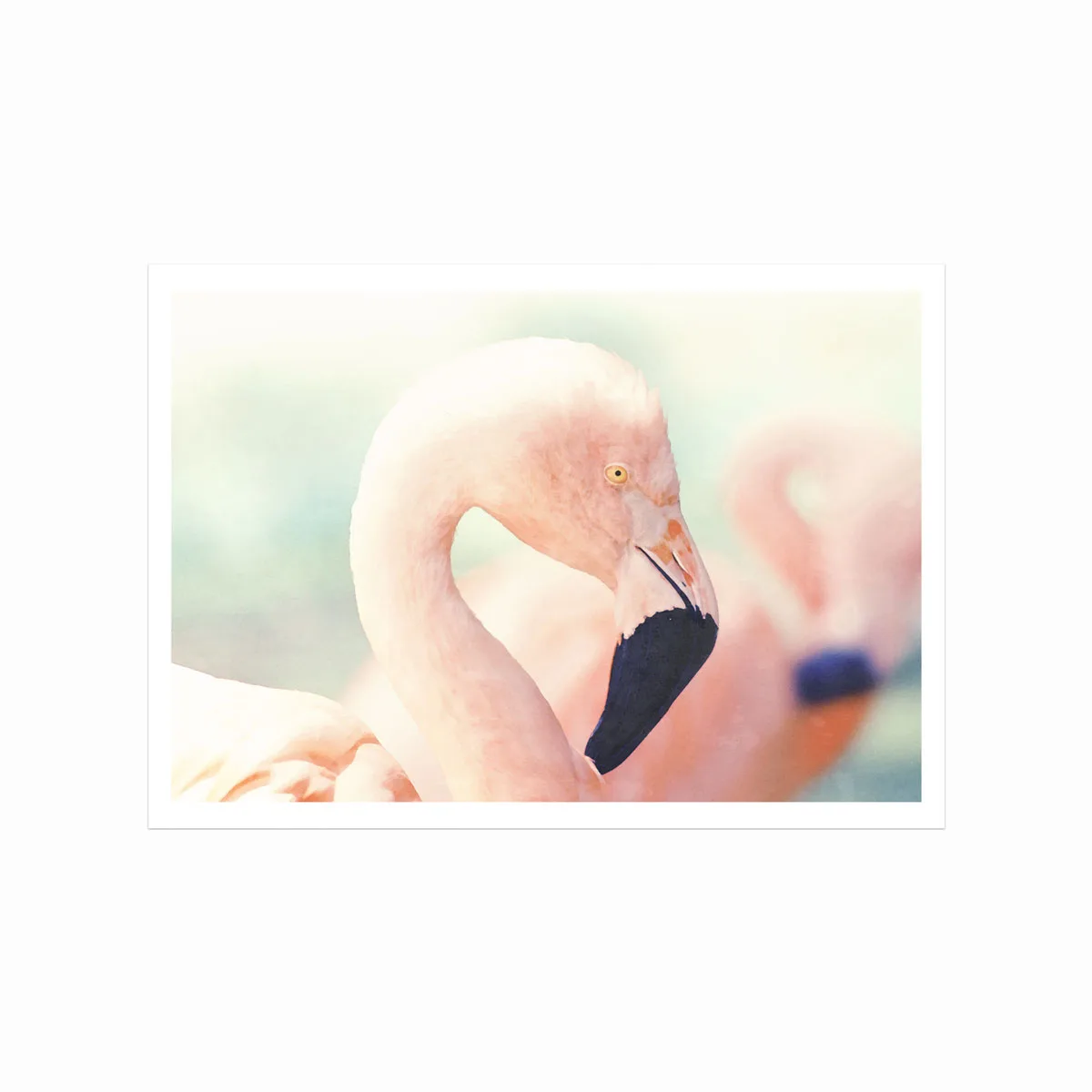 Rosa Flamingo Plakat – Beroligende Kunst til Dit Hjem