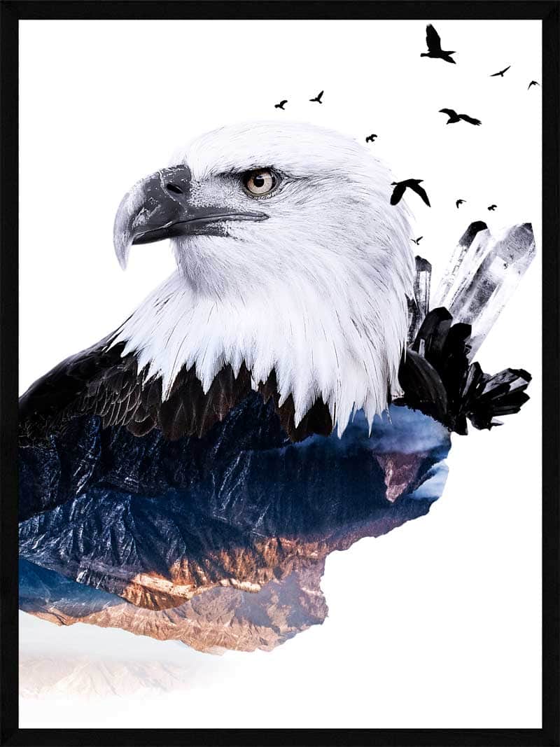 Ørne Plakat med Naturskønne Omgivelser fra Postersbyus