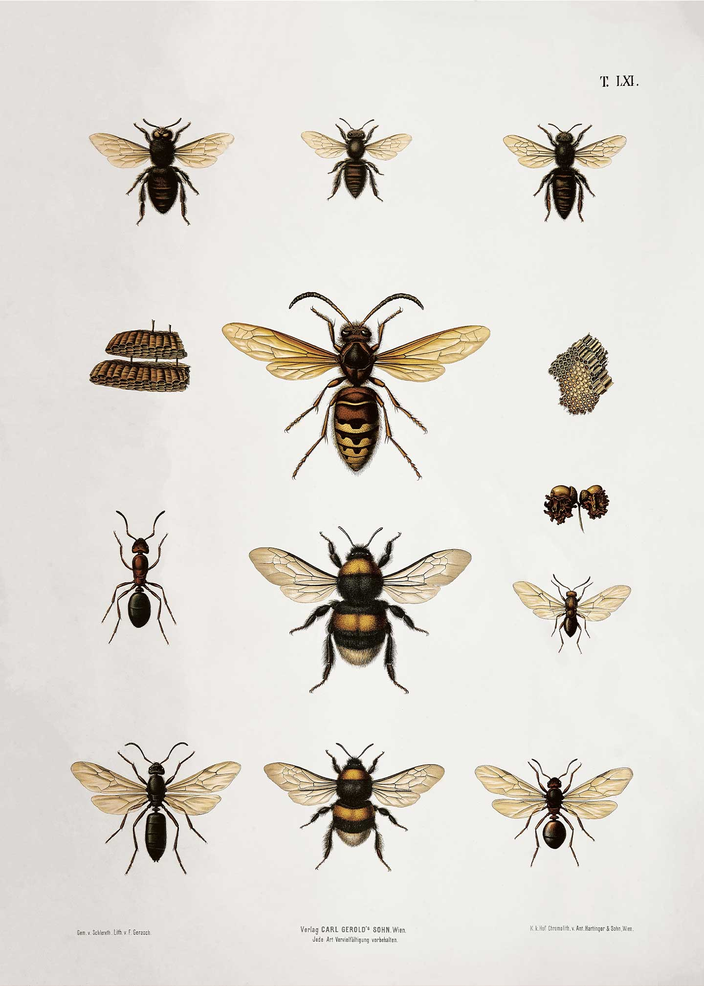 Vintage Plakat: Bees - Unik Dekoration til Dit Hjem