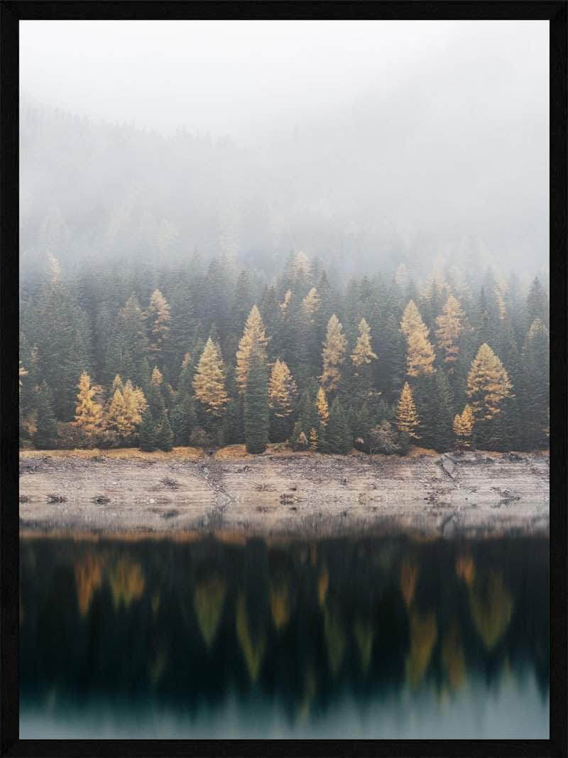 Forårsskov i Tåge Plakat - Unik Naturkunst til Dit Hjem