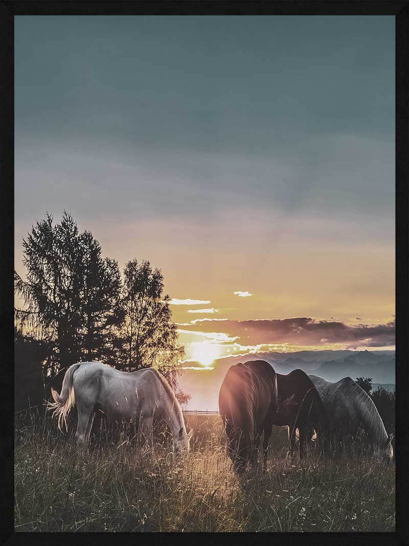Hesteplakat med solnedgang - perfekt til din væg!