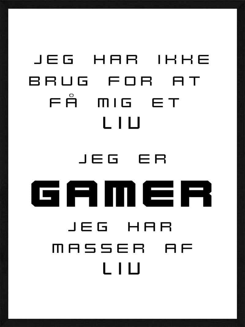 Gamer Plakat - Ideel til Værelset og Spilleområdet