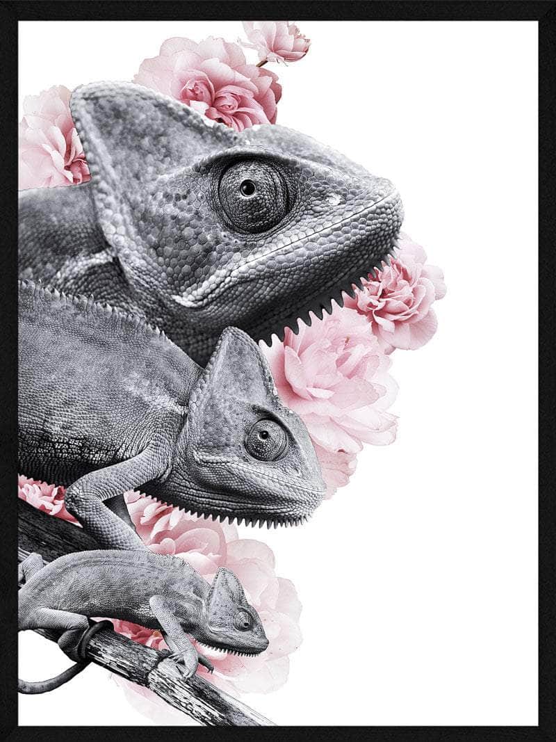 Kamæleon Plakat – Farverig Kunst til Dyreelskere