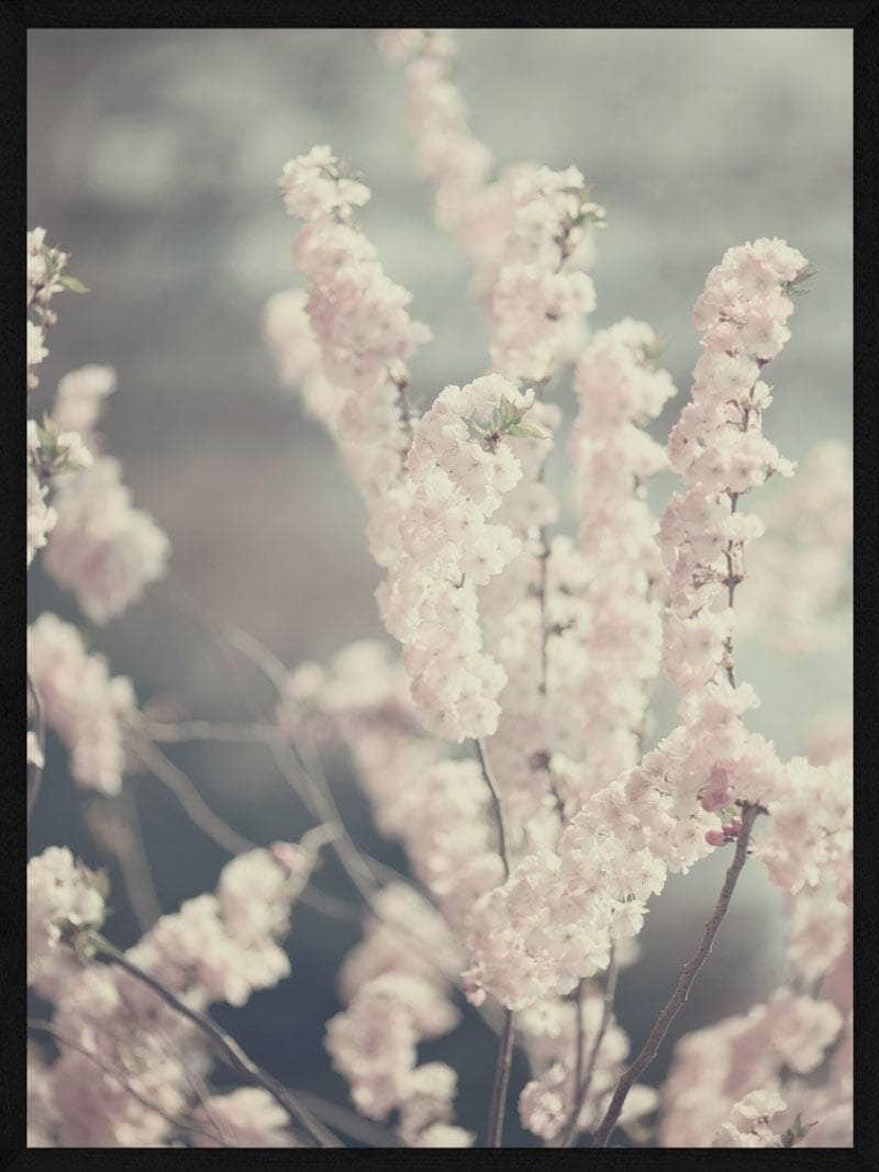 Lyserød Blomsterplakat – Elegant Botanisk Kunstværk