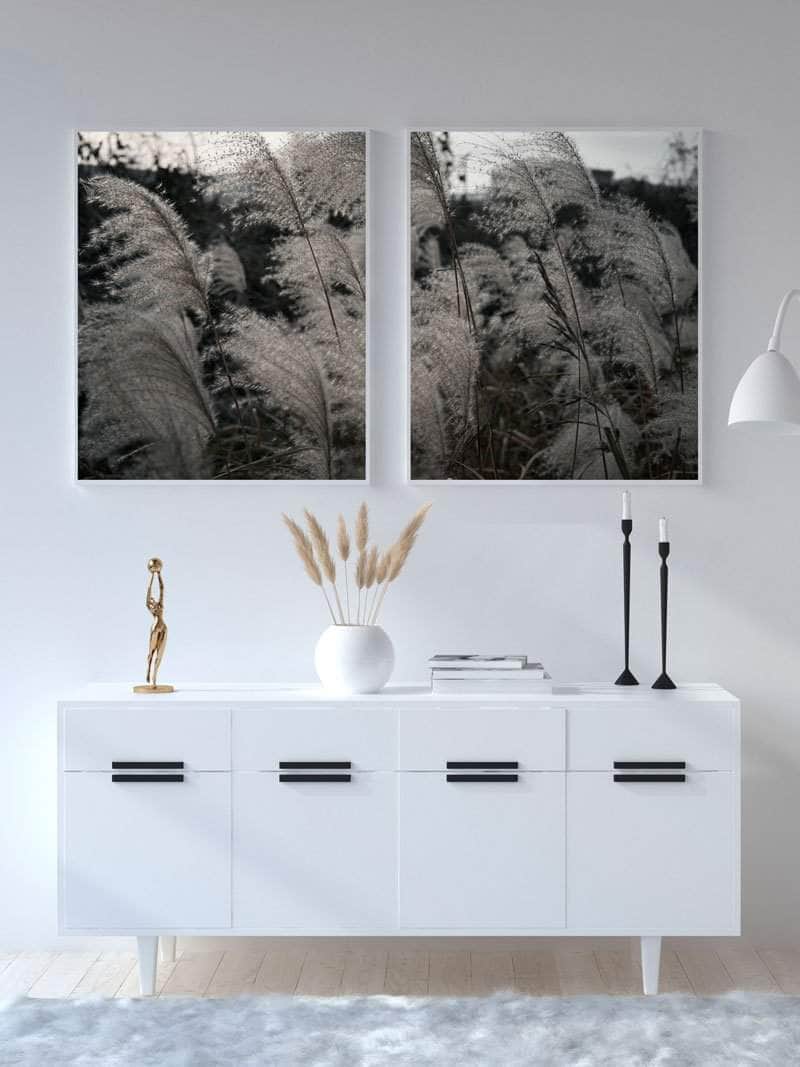 Pampas Plakat – Trendy Botanisk Kunst til Boligen