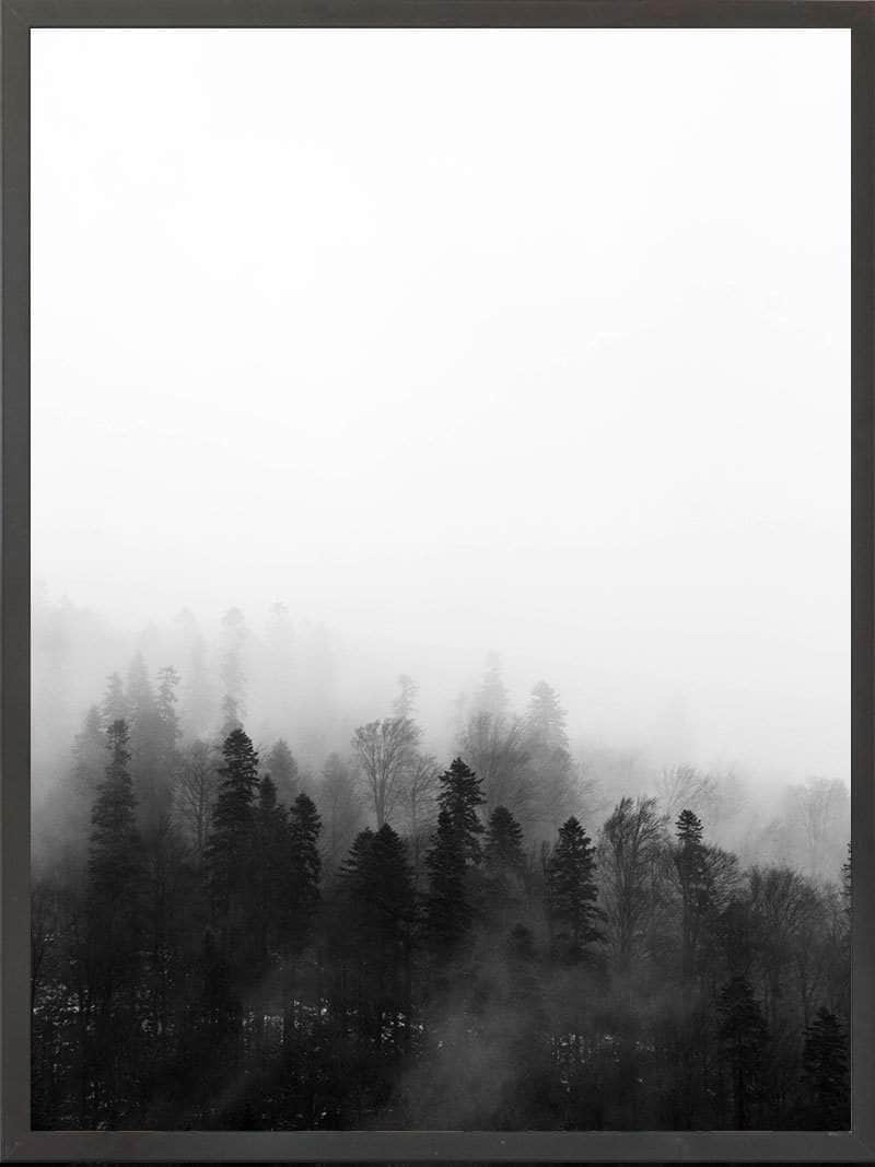 Sort Skov Plakat - Mystisk Naturmotiv i Sort/Hvid